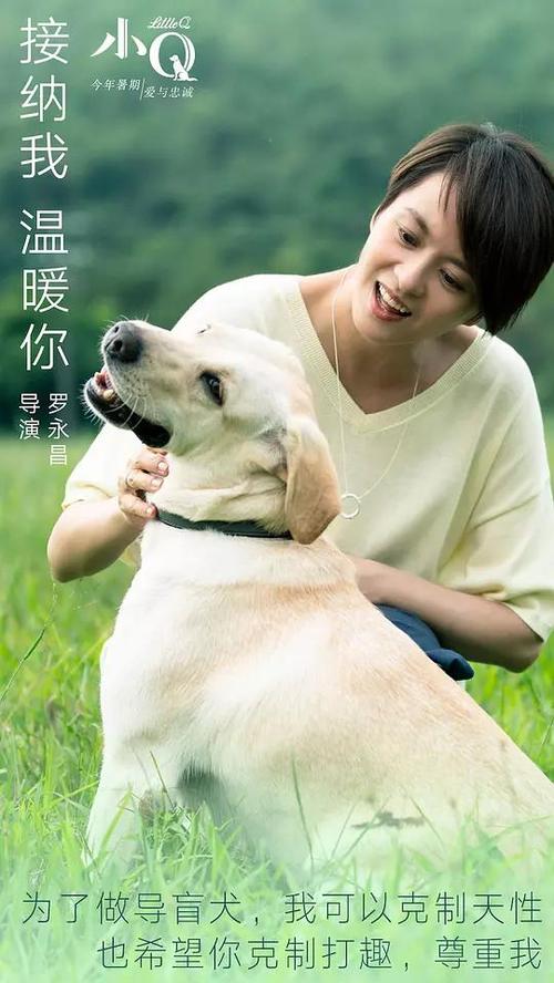 近畿大学Business Administration Degree Certificate